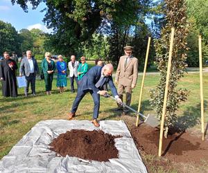 Trzy młode buki purpurowe na Skwerze Leśników Polskich wspólnie zasadzili pracownicy Nadleśnictwa Siedlce i Lasów Państwowych, władze miasta Siedlce i radni.