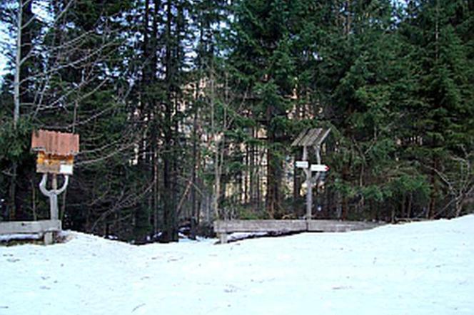 Konkurs Łazienki 2008