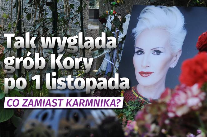 Tak wygląda grób Kory po 1 listopada. Co zamiast karmnika?