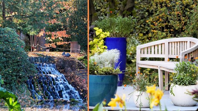 Ogród Botaniczny we Wrocławiu