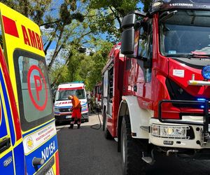 Śmiertelny wypadek pod Olsztynem. 39-latek zignorował znak stop? [ZDJĘCIA].