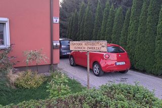 Mieszkańcy gminy Kuślin uratowali bociana