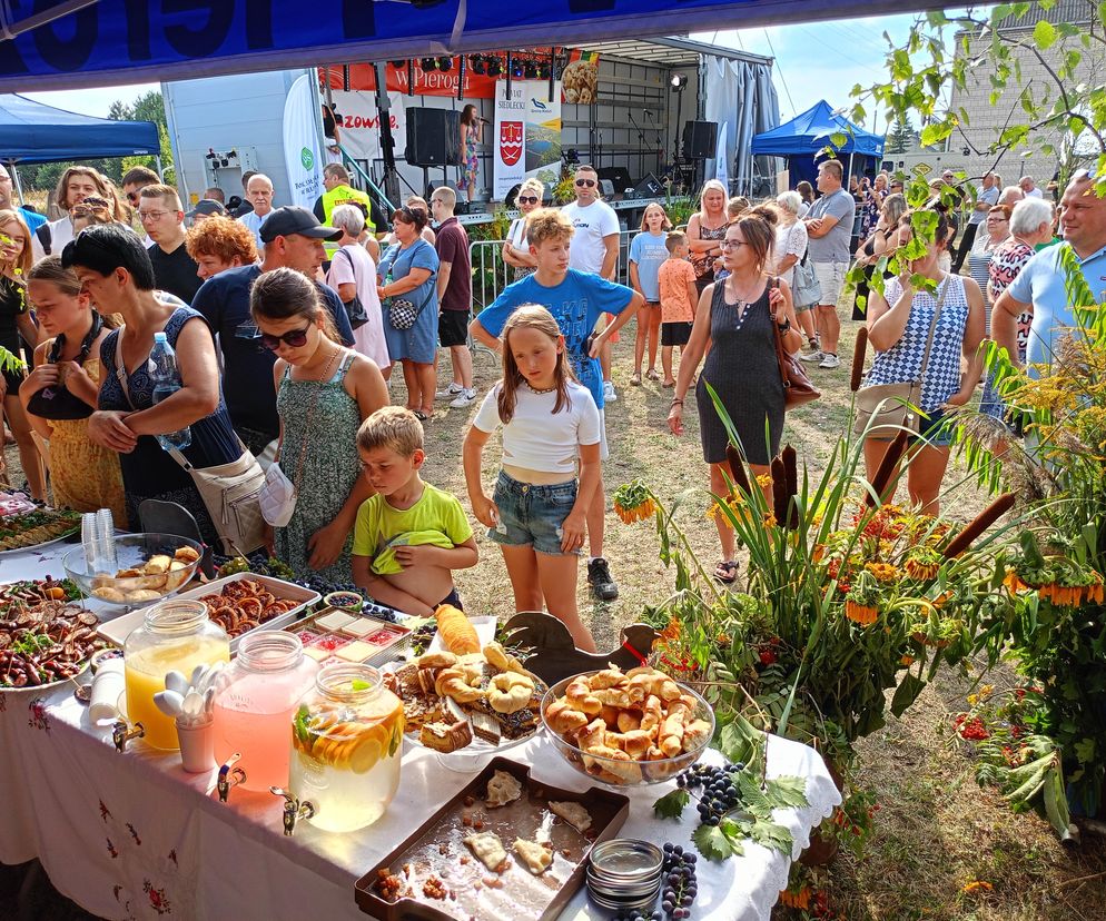 Gmina Kotuń: 8. Festiwal Pieroga w Pierogu już 17 sierpnia