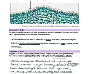 Matura 2024: biologia. Arkusze CKE i odpowiedzi. Poziom rozszerzony [Formuła 2023]