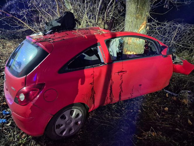 Huknął oplem w drzewo, pień przepołowił auto. Tragedia w Nowym Dworze Mazowieckim