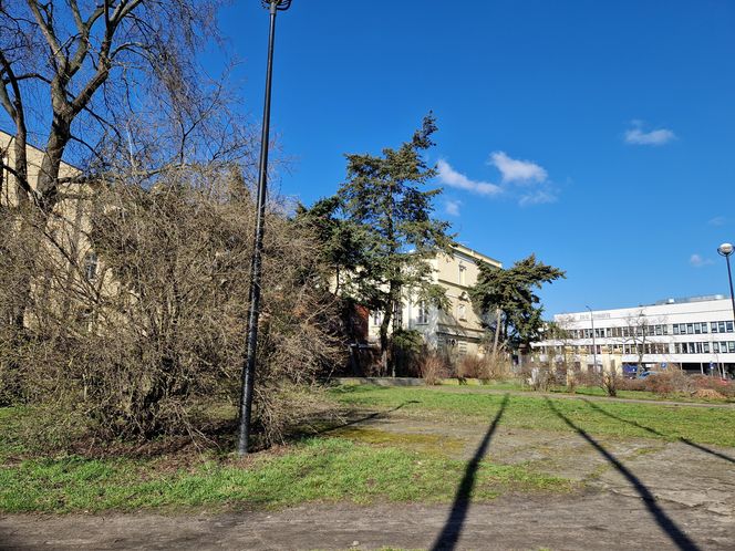 Najstarszy park miejski w Bydgoszczy zostanie odnowiony! Zmieni się nie do poznania