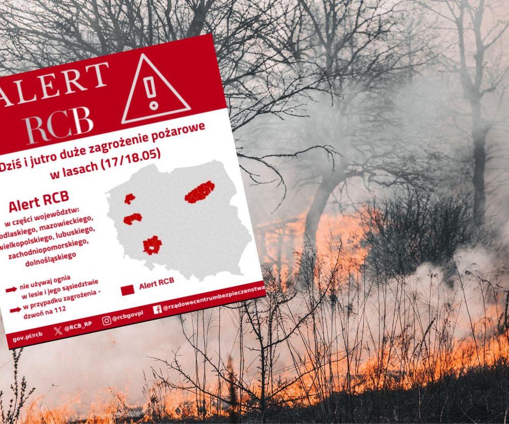 Ekstremalne zagrożenie pożarowe w lasach. Wysłano alert RCB