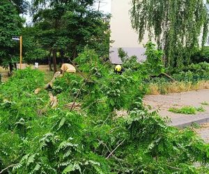 Burze nawiedziły województwo kujawsko-pomorskie. Zdjęcia z akcji strażaków