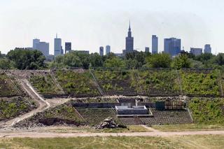 Triumf i upadek Stadionu X-lecia 