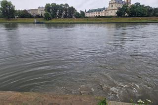Deszcz w Krakowie znów sprawił, że Wisła zamieniła się w ściek. Przez miasto przełynęła rzeka papieru toaletowego, włosów i podpasek
