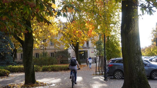 Kolorowe drzewa i klimatyczne kamienice. Ta ulica w Olsztynie zachwyca jesienią