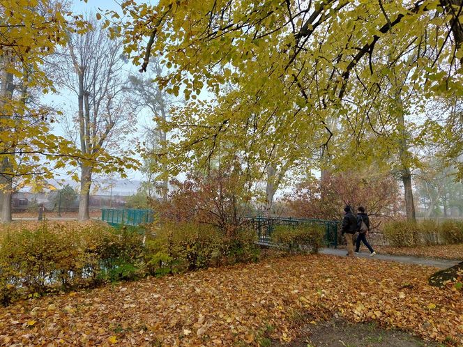 Zamojski Park jesienią