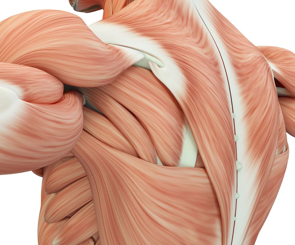 Martwicze zapalenie powięzi: przyczyny, objawy i leczenie