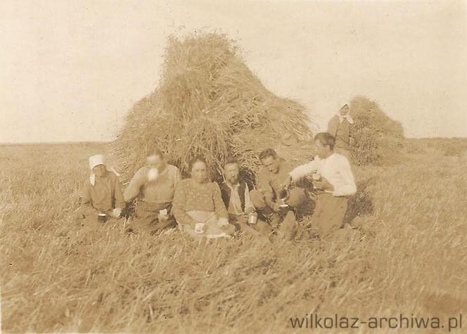 Wilkołaskie żniwa w I połowie XX wieku