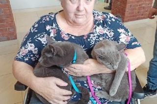 Zbiórka dla Fundacji Azyl w Konstantynowie Łódzkim. Zwierzęta na co dzień pomagają pacjentom ZOL-u