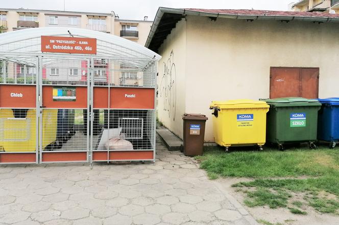 Sprawdź kiedy zabierają śmieci w Iławie! Harmonogram odbioru odpadów z bloków