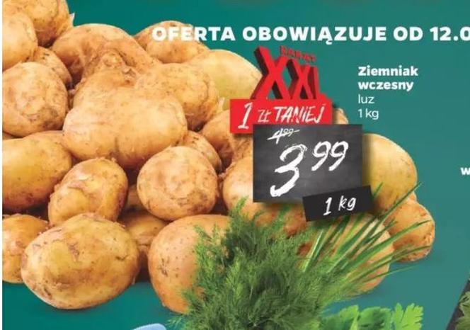Promocje w Netto