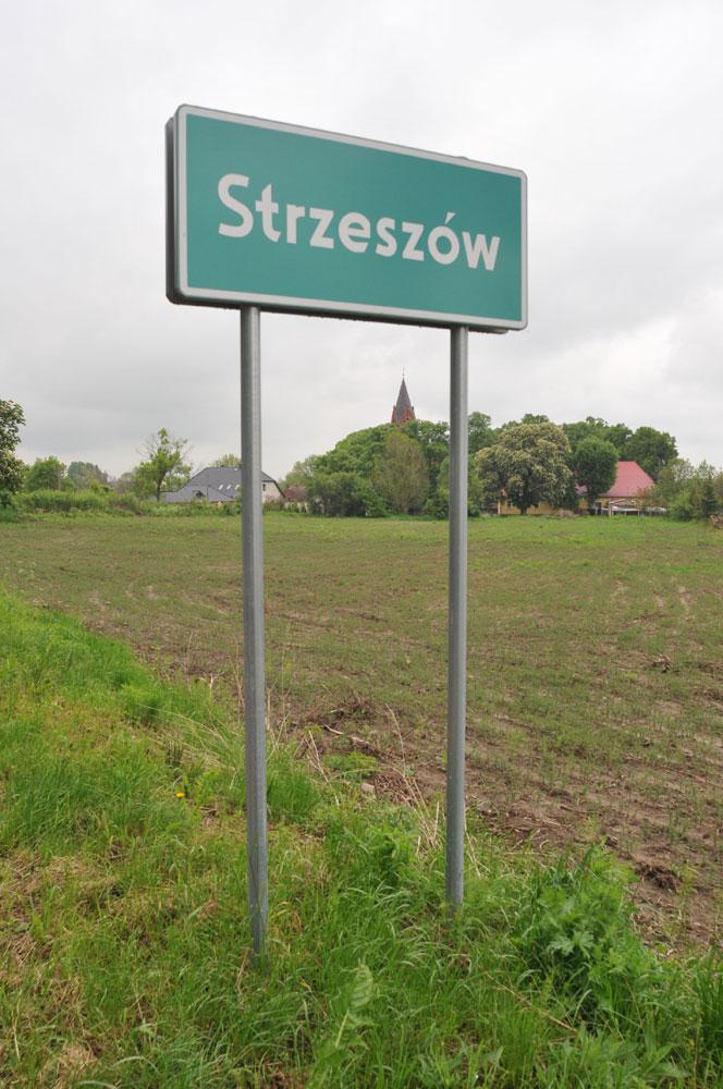 Martwe dzieci w Strzeszowie