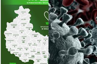 Koronawirus w Wielkopolsce. Zobacz, ile osób WYZDROWIAŁO [RAPORT]