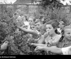 QUIZ PRL. Smaki lata w PRL-u: Czy pamiętasz letnie przysmaki swojego dzieciństwa?