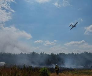 Pożar lasu koło Piotrkowa Trybunalskiego