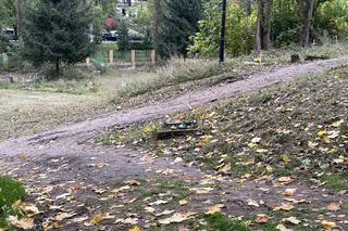 Cmentarz w Gorzowie, który odstrasza mieszkańców