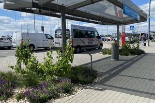 Tak wygladają ogrody deszczowe na parkingu przed terminalami Katowice Airport