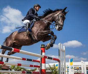 Setki koni zjechało do Sopotu. Trwają Mistrzostwa Polski w skokach przez przeszkody