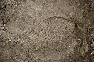 Anglik chciał dostać się do Rosji. Jechał do dziewczyny poznanej przez internet