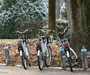 BiKeR w Białymstoku udaje się na zimowy urlop. Miejskie rowery kończą tegoroczny sezon