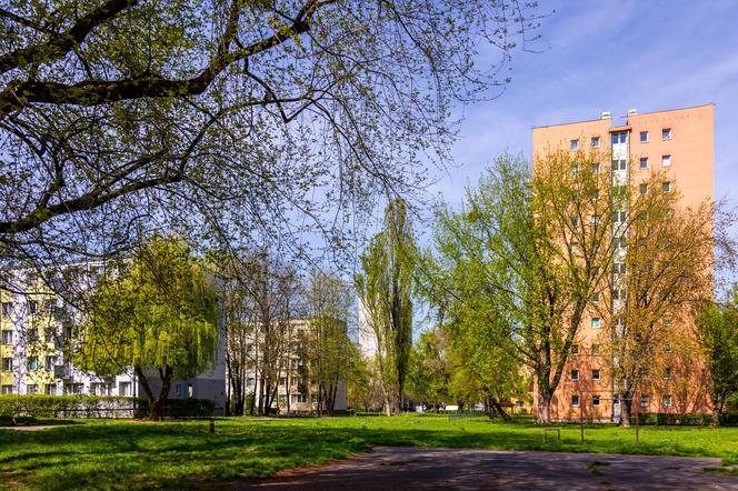 Osiedle prototypów w Warszawie - zdjęcia. Zobacz eksperymentalne bloki z wielkiej płyty