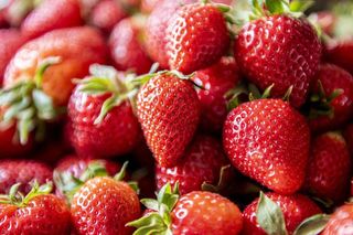 Na tym festiwalu wybiorą królową truskawek. Niezwykłe wydarzenie na Pomorzu
