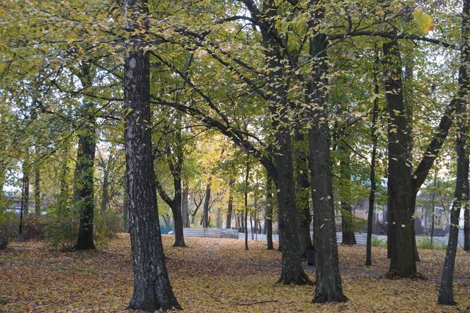 Park Lubomirskich w Białymstoku jesienią 