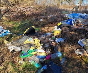 Tona śmieci na działkach pod Gorzowem. Burza w sieci