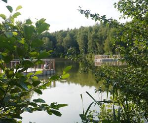 Park Leśny Tetmajera w Bronowicach