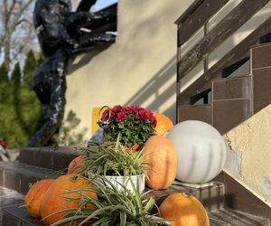 Gigantyczny pająk z plastikowych butelek ozdobił dom w Lublinie