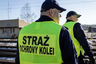 Złodziej kabla w Częstochowie zatrzymany. Funkcjonariusze zastali go z piłką do metalu