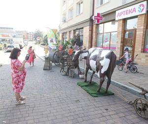 Dożynki miejskie w Tychach