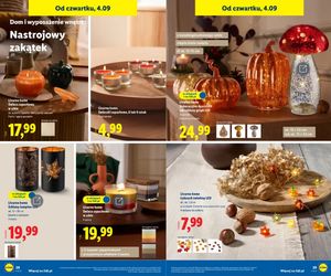 Jesienne promocje w Lidlu