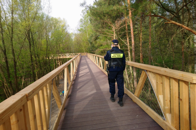 W minionym tygodniu strażnicy sprawdzali jak poznaniacy przestrzegają obostrzeń