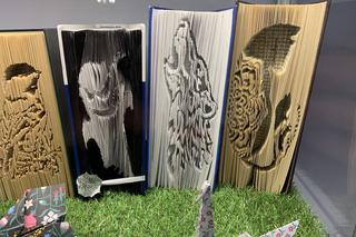 Sztukę możemy podziwiać na wystawie w Wypożyczalni Głównej Wojewódzkiej i Miejskiej Biblioteki Publicznej w Bydgoszczy