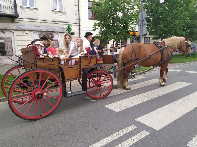 Siedlczanie mogli wsiąść w wehikuł czasu i zobaczyć ulicę Pułaskiego - Piękną sprzed stu lat