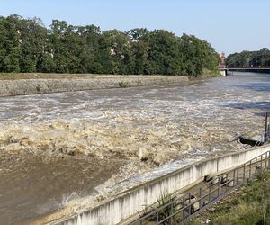 Jaz Szczytnicki we Wrocławiu coraz bardziej wypełniony. Do Wrocławia zbliża się fala ZDJĘCIA