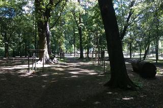 Park Tysiąclecia w Toruniu czekają spore zmiany