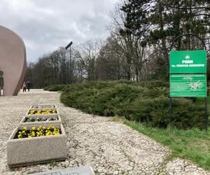 Park im. Szarych Szeregów. To tu swój początek ma Szlak pamięci ofiar hitlerowskiego ludobójstwa