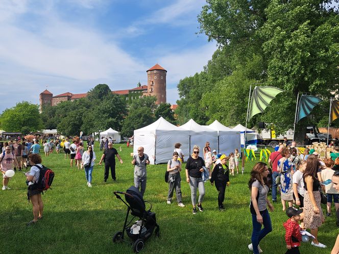 Smoczy Piknik Rodzinny 2025 w Krakowie
