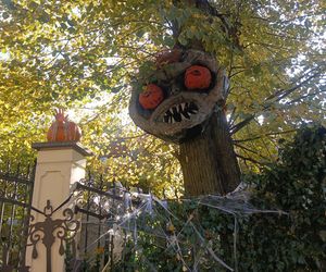 Willa na Jaśkowej Dolinie w Gdańsku znów straszy! Tegoroczny motyw Halloween budzi niepokój