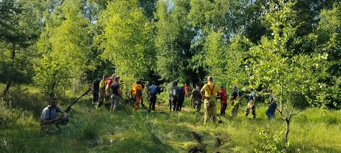 Konie ugrzęzły w bagnie. Gdyby nie interwencja strażaków, mogłoby dojść do najgorszego