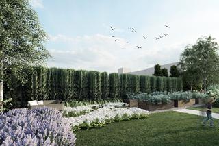 Alpaki i alpakoterapia w ogrodzie przydomowym