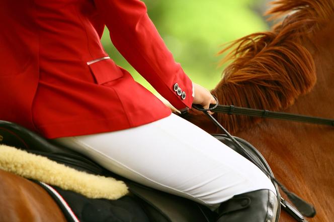 Zawody jeździeckie już w najbliższy weekend w Koninie!